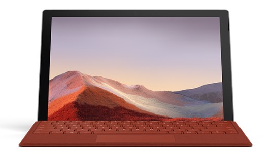 萨尔图清洁和维护 Surface